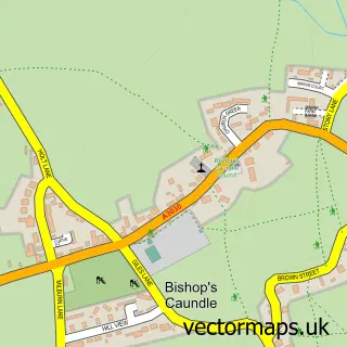 Street map sample of Bishop's Caundle, Dorset