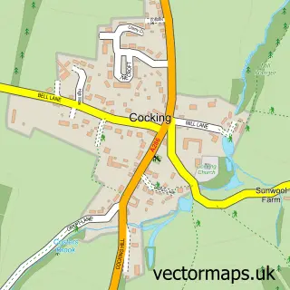 Street map sample of Cocking, West Sussex