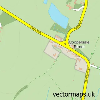Street map sample of Coopersale Street, Essex