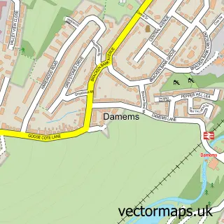 Street map sample of Damems, West Yorkshire