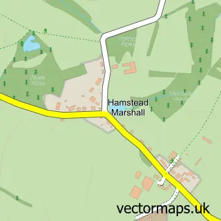 Street map sample of Hamstead Marshall, Berkshire