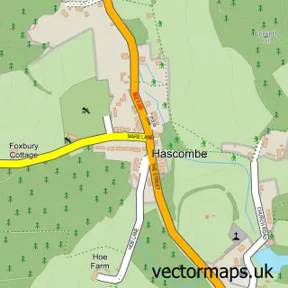 Street map sample of Hascombe, Surrey