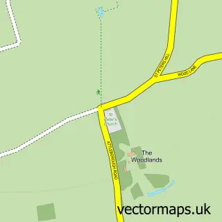 Street map sample of Morley St Peter, Norfolk