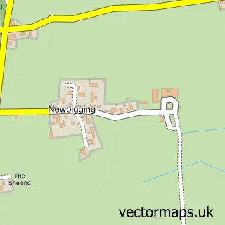Street map sample of Newbigging, Angus