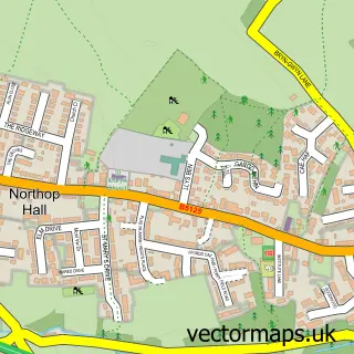 Street map sample of Northop Hall, Clwyd