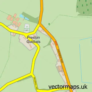 Street map sample of Preston Gubbals, Shropshire