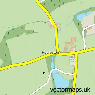 Street map sample of Pudleston, Herefordshire