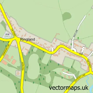 Street map sample of Ringland, Norfolk