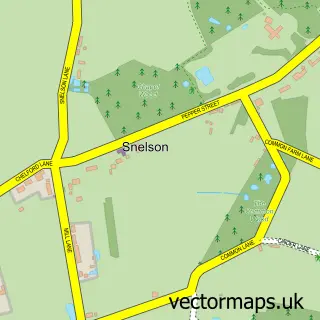 Street map sample of Snelson, Cheshire