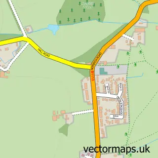Street map sample of Tacolneston, Norfolk