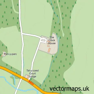 Street map sample of Tal-y-Coed, Gwent