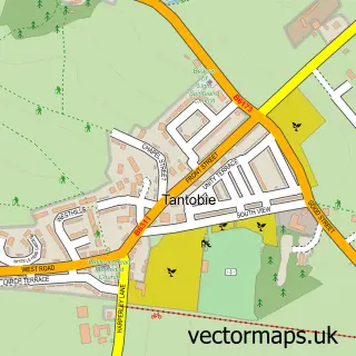 Street map sample of Tantobie, Durham