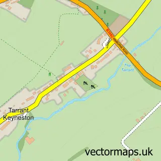 Street map sample of Tarrant Keyneston, Dorset