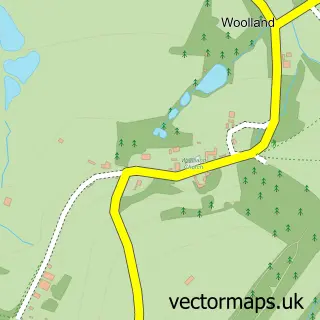 Street map sample of Woolland, Dorset