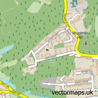 Street map sample of Woolmer Hill, Surrey